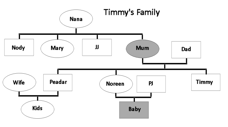 Timmy's Family